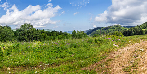 Alpine meadows with new plants blooming on the slopes, with flowers and green vegetation in spring and summer, nature walks © NAIL BATTALOV
