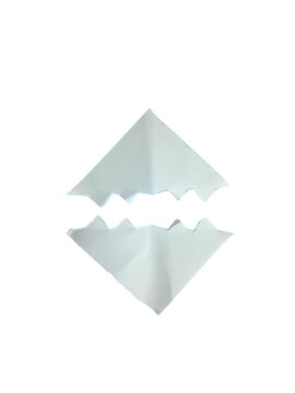 Broken white egg shell pieces separated