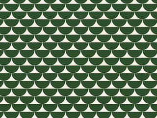 Classic Seigaiha Scale Pattern Japanese Wave Textile © iushakovsky
