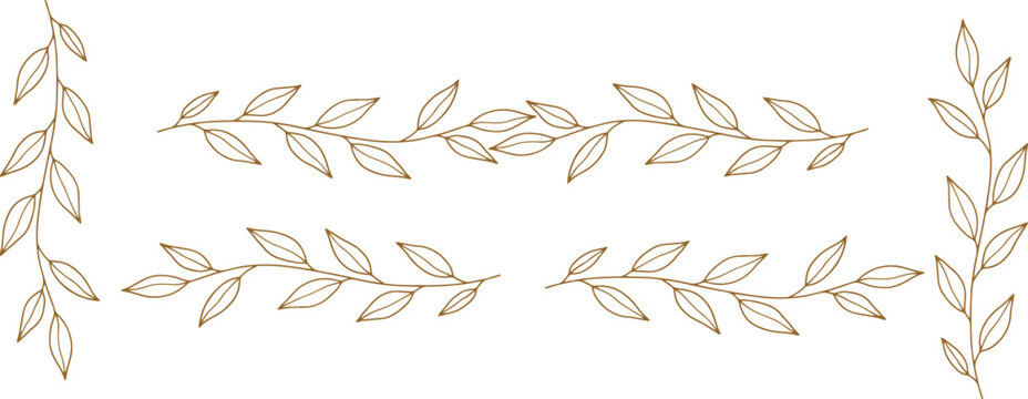 Elegant botanical branch dividers hand drawn laurel wreath elements