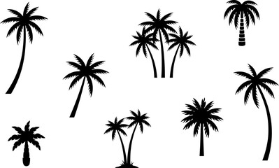 Black silhouette palm tree collection for tropical designs and summer graphics © RIMON