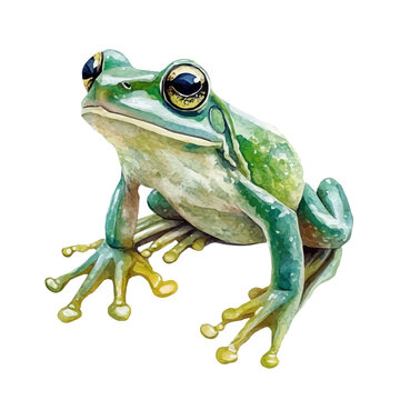 Frog, delicate watercolor illustration vector with soft and elegant colors, isolated on a white background.