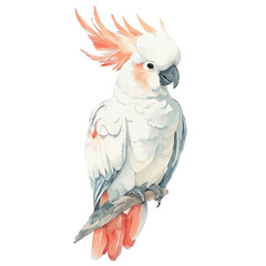 Cockatoo, beautiful watercolor illustration with vivid colors and detailed vector style, isolated on a white background. © soltrex
