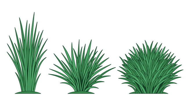 Ensemble de trois touffes d'herbe verte stylis&eacute;es et isol&eacute;es sur fond blanc, parfaites pour des illustrations de paysages, des projets de design graphique ou des &eacute;l&eacute;ments de d&eacute;coration naturelle.