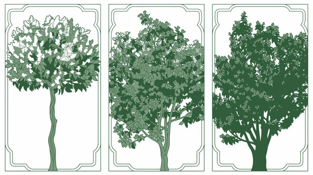 Conjunto de tr&ecirc;s ilustra&ccedil;&otilde;es bot&acirc;nicas de &aacute;rvores estilizadas em tons de verde dentro de molduras decorativas cl&aacute;ssicas, perfeitas para design de interiores e decora&ccedil;&atilde;o de parede.