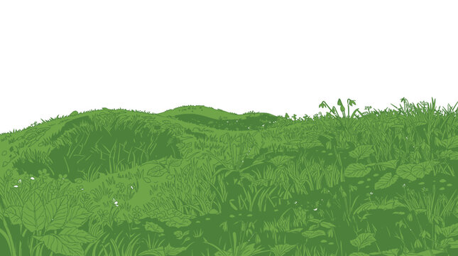 Ilustra&ccedil;&atilde;o vetorial de uma colina verde com grama detalhada e fundo branco isolado, ideal para design de paisagens naturais, banners de primavera ou projetos de ecologia e meio ambiente.