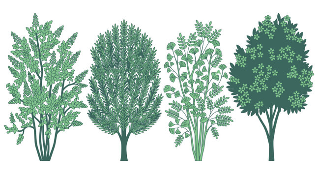 Conjunto de ilustra&ccedil;&otilde;es vetoriais de &aacute;rvores e arbustos verdes com diferentes formatos de folhagem e texturas bot&acirc;nicas isoladas em fundo branco para design paisag&iacute;stico.