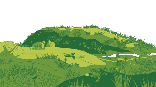 Illustration vectorielle d'une colline verdoyante avec de l'herbe stylis&eacute;e et des rochers sur un fond blanc, id&eacute;ale pour des projets de design graphique et de paysage.