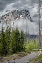 Gravel hiking path along the Thompson Creek Falls Trail leading toward the massive, cloud-covered peak of Mount Cline in Alberta. Ideal for outdoor recreation, hiking, and travel themes. © Christina