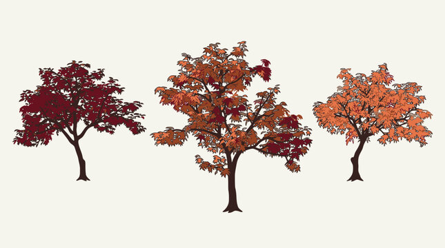 Conjunto de tr&ecirc;s &aacute;rvores estilizadas com folhagem em tons de outono, incluindo vermelho, laranja e marrom, isoladas em um fundo bege claro para design gr&aacute;fico.