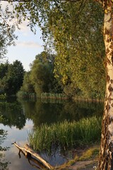 Letni widok nad jeziorem © Adam
