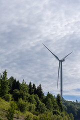 A large wind turbine stands on a hillside covered with dense green trees against a vast cloudy sky with ample copy space above the landscape. © Pavlo
