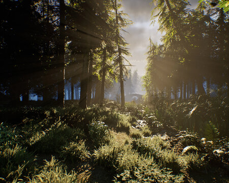Meadow with grass and ferns in a misty dense forest with fir trees under a cloudy sky. 3D render.