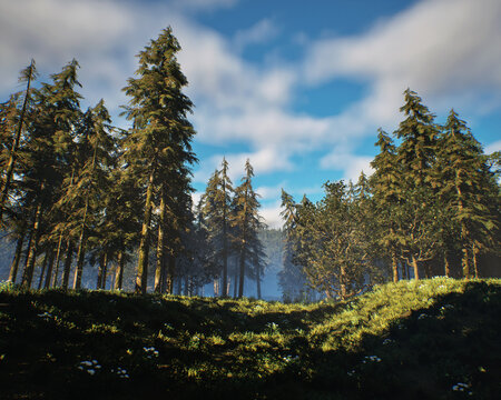 Meadow with grass and ferns in a misty dense forest with fir trees under a cloudy sky. 3D render.