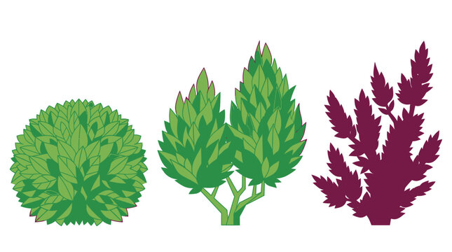 Set di illustrazioni vettoriali piatte raffiguranti tre diverse tipologie di piante da giardino, tra cui un cespuglio rotondo, un arbusto a due punte e una pianta ornamentale viola.
