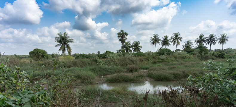 Paysage de route &agrave; Madurai- Tamilnadu - India
