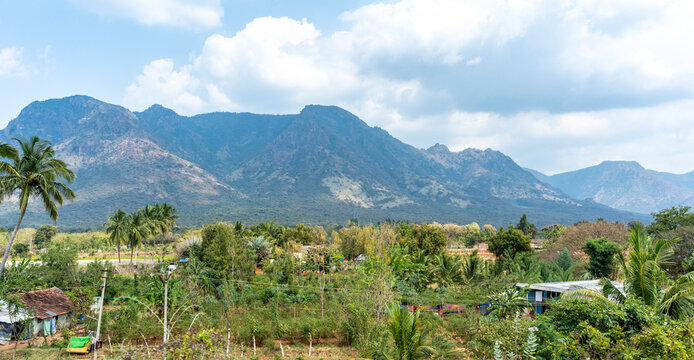 Paysage de route &agrave; Madurai- Tamilnadu - India