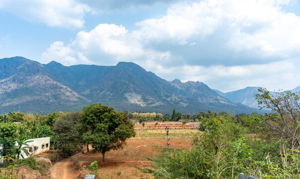 Paysage de route &agrave; Madurai- Tamilnadu - India