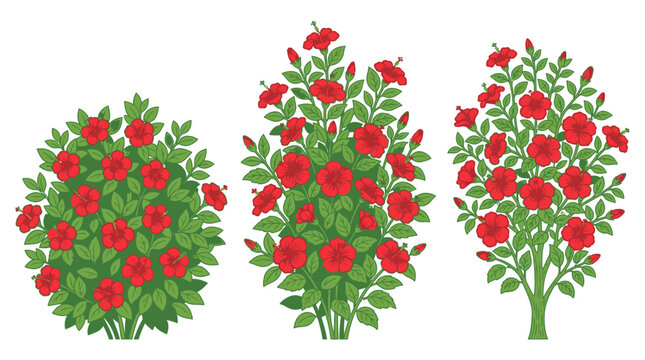 Set di tre illustrazioni vettoriali di cespugli e alberi di ibisco con fiori rossi vibranti e foglie verdi rigogliose, isolati su sfondo bianco per design botanico e decorativo.