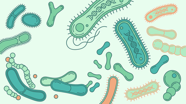 Illustrazione vettoriale piatta di vari tipi di batteri, microbi e microrganismi colorati su uno sfondo chiaro, ideale per concetti di biologia, medicina e salute pubblica.
