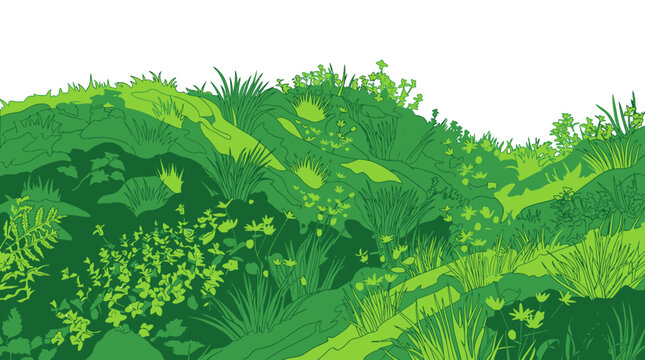 Ilustraci&oacute;n vectorial de un paisaje natural con colinas cubiertas de hierba verde, plantas silvestres y follaje detallado sobre un fondo blanco aislado para dise&ntilde;o gr&aacute;fico.
