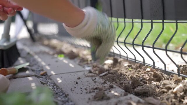 Gloved hand pulls weeds from the soil along garden border beside metal fence. Manual weed removal during routine home garden maintenance