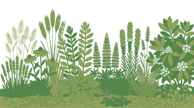 白い背景に配置された様々な種類の緑色の植物や花が描かれた、手描き風のボタニカルなイラストレーションのボーダーデザインで、自然やガーデニングをテーマにしたプロジェクトに最適です。
