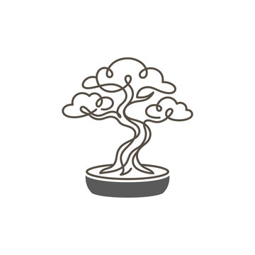 Bonsai Tree in a Pot.