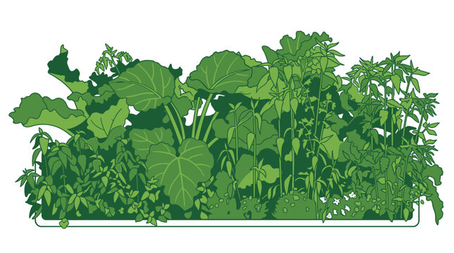 Eine detaillierte gr&uuml;ne Illustration eines &uuml;ppigen Gem&uuml;segartens in einem Hochbeet mit verschiedenen Pflanzen wie K&uuml;rbis, Kr&auml;utern und Blattgem&uuml;se auf wei&szlig;em Hintergrund.