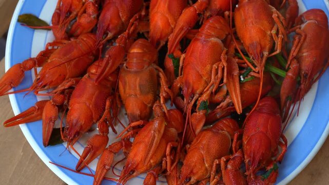 River boiled crayfish or crawfish, snack to beer. Plate of boiled red river cancers, seafood. 4k slow rotation, top view.