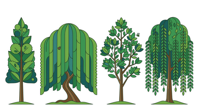 Set von vier verschiedenen stilisierten B&auml;umen mit flachem Design, einschlie&szlig;lich Nadelb&auml;umen und Trauerweiden, isoliert auf wei&szlig;em Hintergrund f&uuml;r grafische Illustrationen.