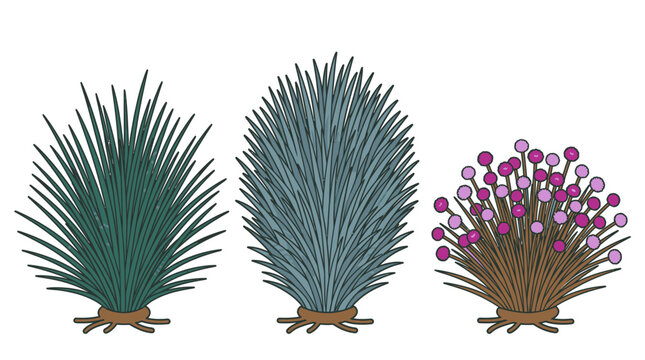 Eine Sammlung von drei verschiedenen stilisierten Pflanzen mit spitzen Bl&auml;ttern und einer bl&uuml;henden Pflanze mit violetten Bl&uuml;ten, isoliert auf einem wei&szlig;en Hintergrund f&uuml;r Designprojekte.