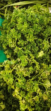 green vegetable background