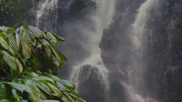 Close Up of Water Crashing Against Dark Rocks Beneath Sekumpul Waterfall Surrounded by Lush Tropical Foliage, Natural Power and Beauty