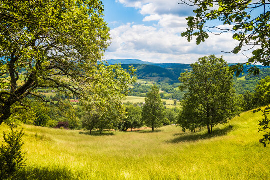 Verts p&acirc;turages autour d'Estaing en Aveyron - France