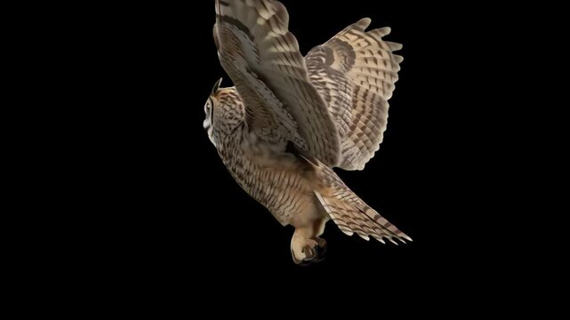 3D render of a wild owl flying in slow motion with outstretched wings, isolated on a black background with alpha channel transparency for easy drag-and-drop video compositing.