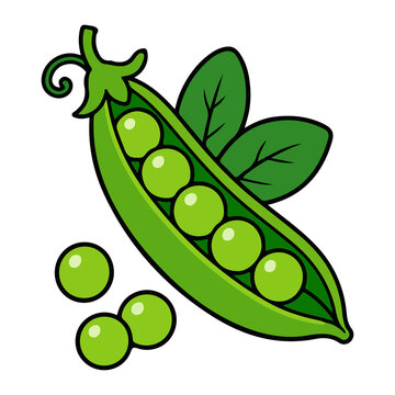 Green peas pod with leaves vector illustration