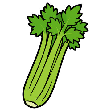 Celery bunch vector illustration