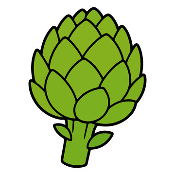 Artichoke vector illustration