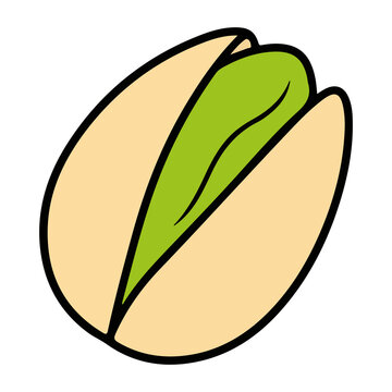 Pistachio nut vector illustration