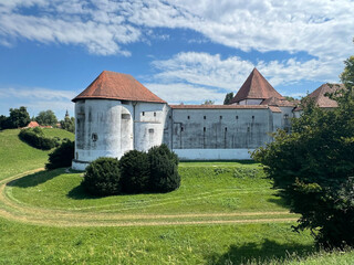Fototapeta premium The Old Town of Varaždin, Croatia