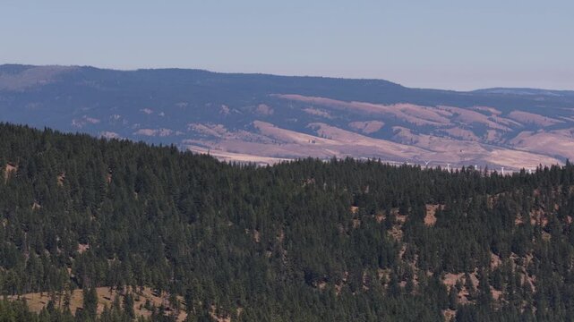 Aerial of Okanogan Wenatchee National Forest mountains with wind turbines with dense coniferous forest in the foreground and rolling hills near Cle elum