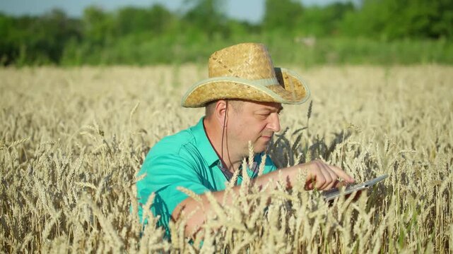 A man farmer in a straw hat sits among tall wheat plants. He uses a tablet to check information as the sun shines. The field is rich and green with trees in the background