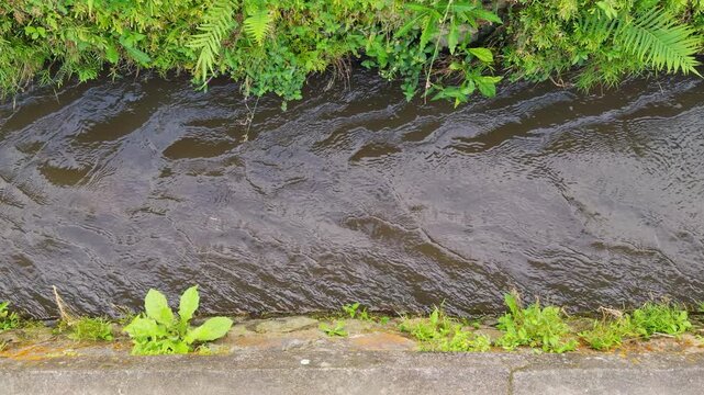 Fast Flowing Canal Water Surrounded by Green Tropical Vegetation in Slow Motion