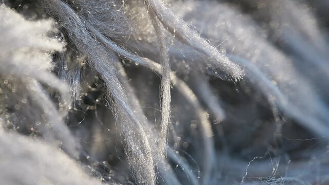 Macro video showing textures and pile of a rug, Treads and strands close up.