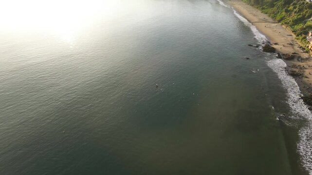 Pescador y las aves del mar
