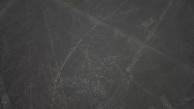 The Condor: Nazca lines
