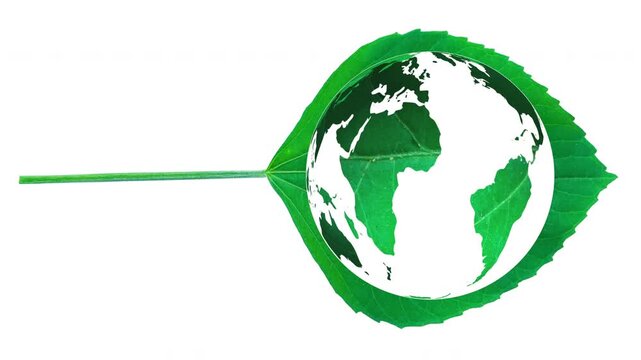 Close-up of a fresh green leaf featuring a subtle global world map pattern printed on its surface. Ideal for themes on sustainability, global ecology, green technology, environmental protection, eco