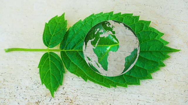 A vivid green leaf detailed with a continent map texture. Conceptual image representing planetary health, international environmental policy, conservation efforts, and green global unity.