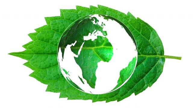 A green leaf designed in the shape of a world map, representing ecology, sustainability, climate change, environmental conservation, biodiversity, and global awareness. Ideal for Earth Day.
